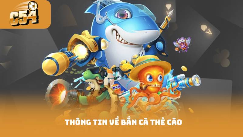 Thông tin về bắn cá thẻ cào